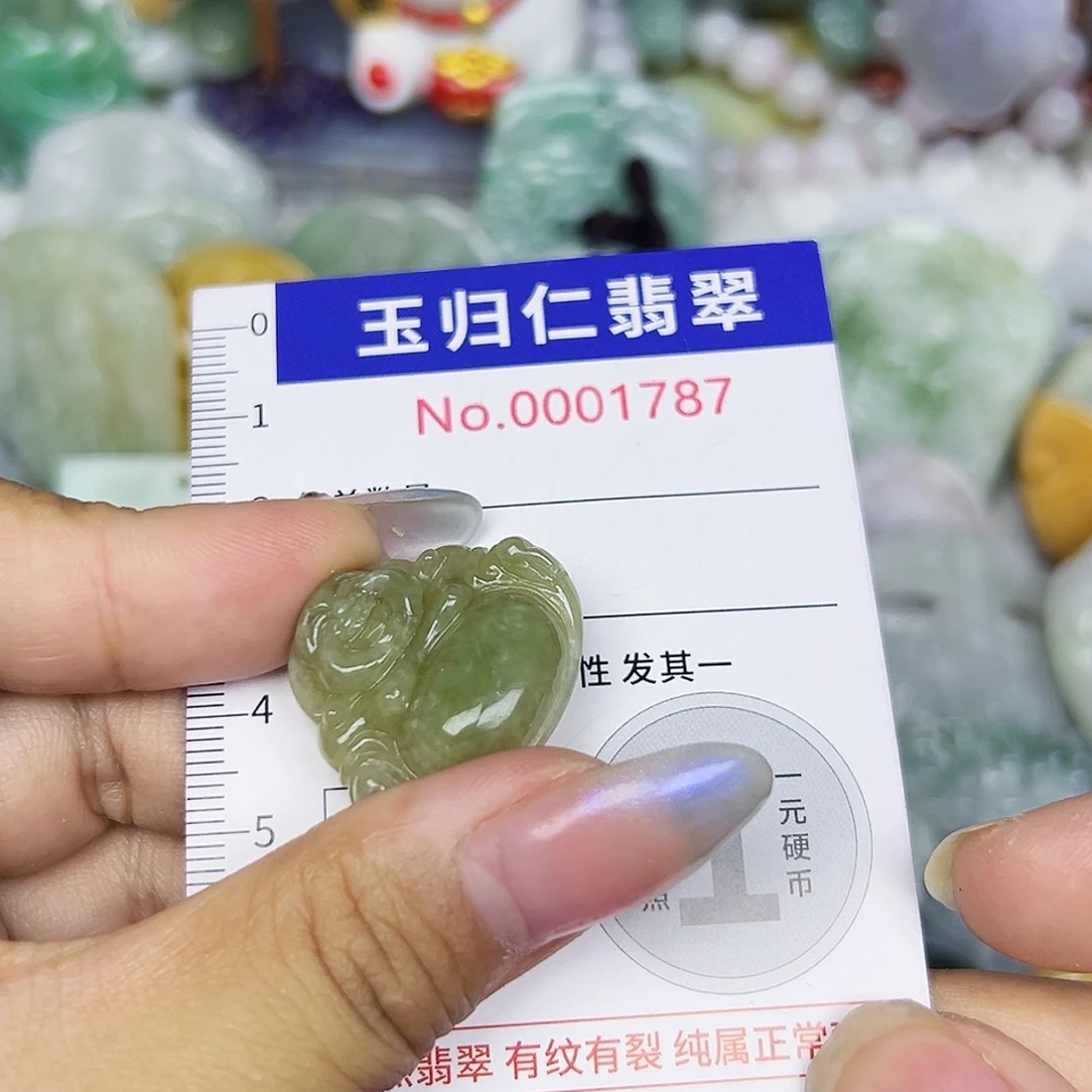翡翠未镶嵌吊坠(不含链)111