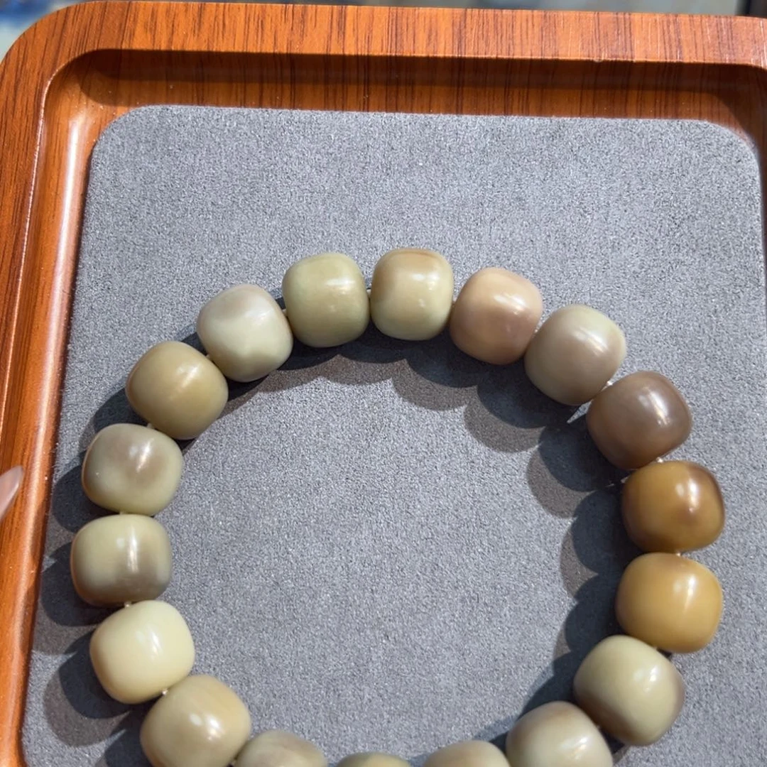 菩提根/象牙果吊坠原色桶卡15