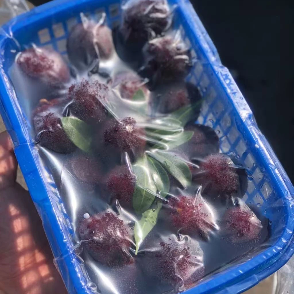 Mei云南东魁杨梅4斤二合一