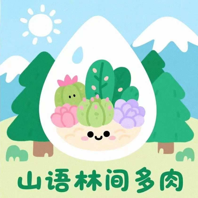 山语林间多肉6号链接