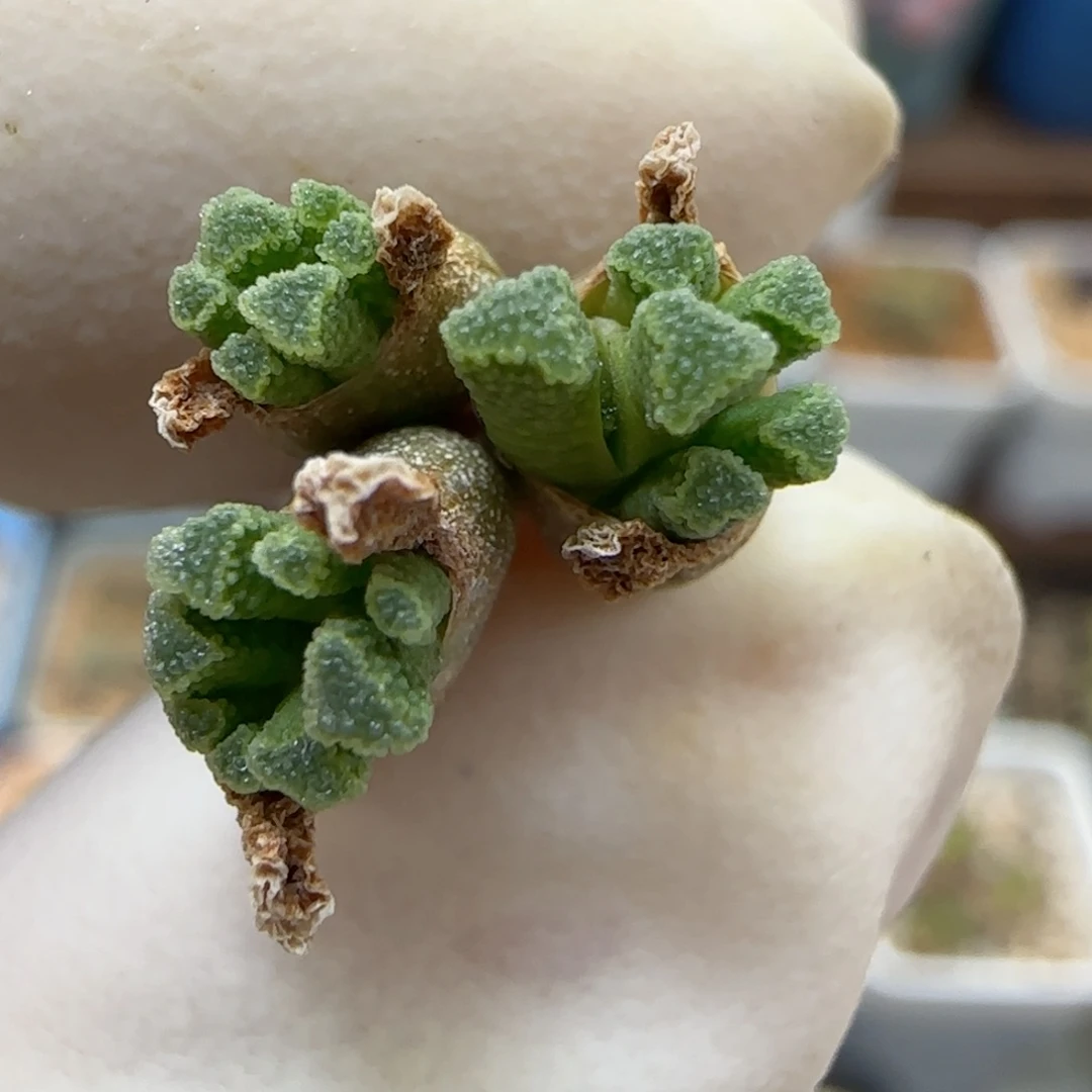 769福利福利福利