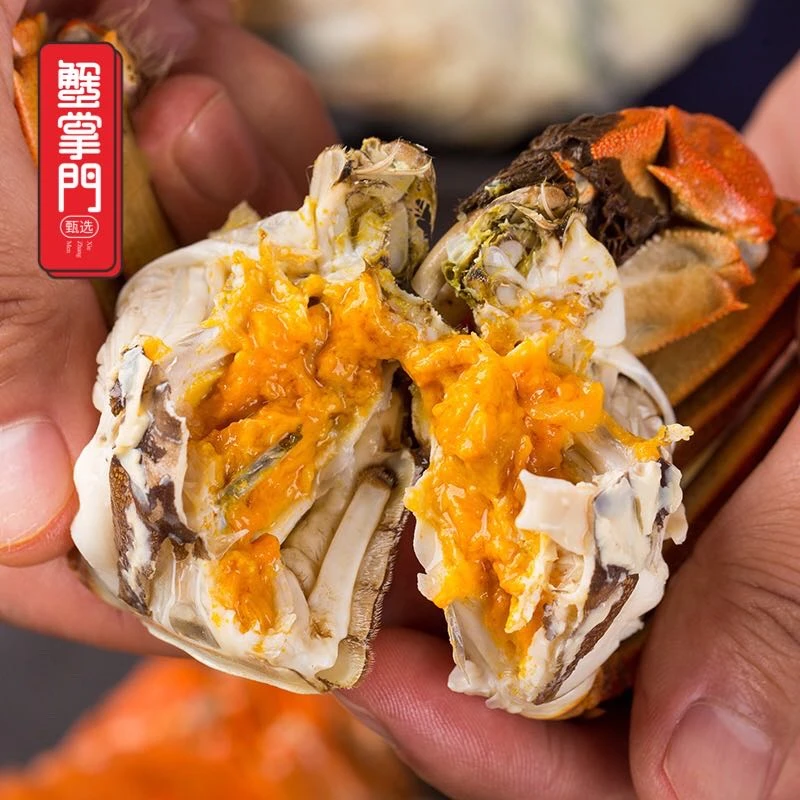 【活蟹现货】蟹掌门精品大闸蟹全母2.5两8只礼盒装B8