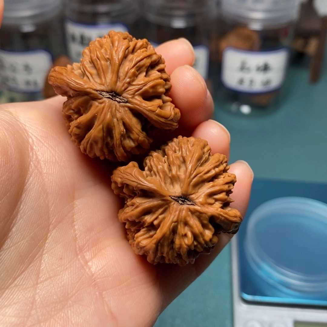 核桃36尺全品麦穗虎头落地果