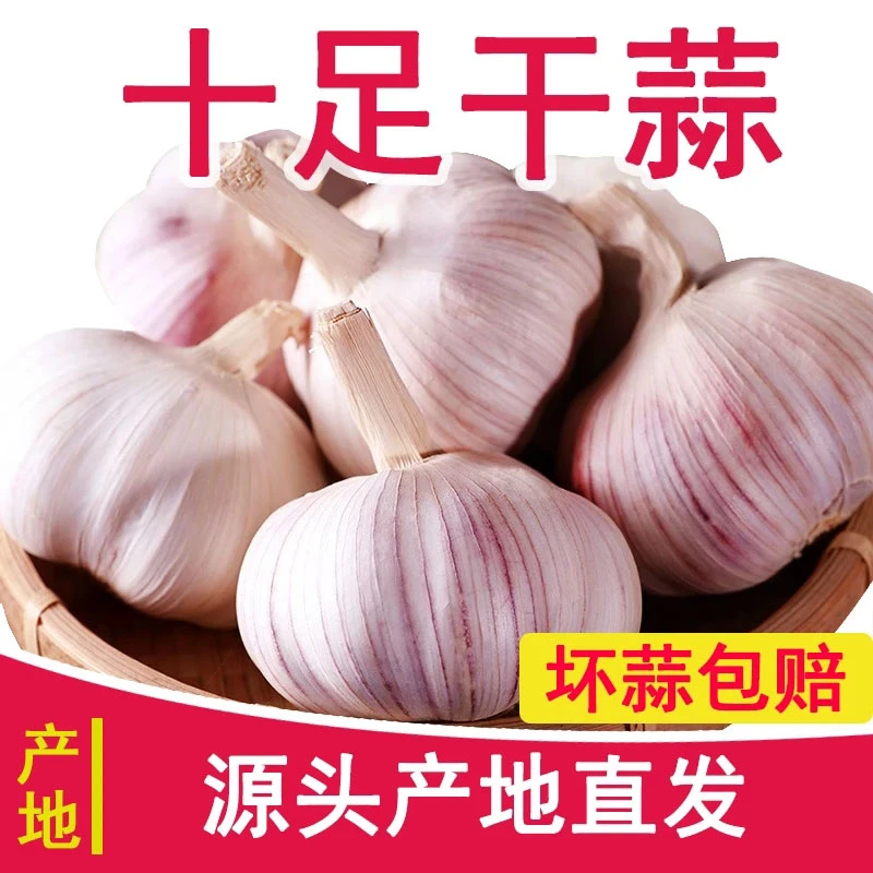 【农家土蒜】5斤新干蒜可种大蒜紫白皮干大蒜头蒜蔬菜1斤2斤3斤9斤