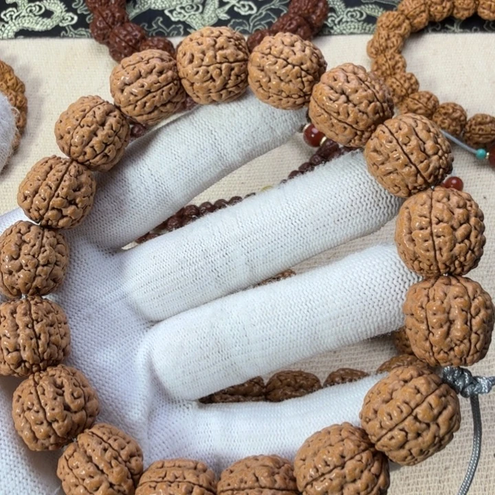 手串金刚菩提将军龙