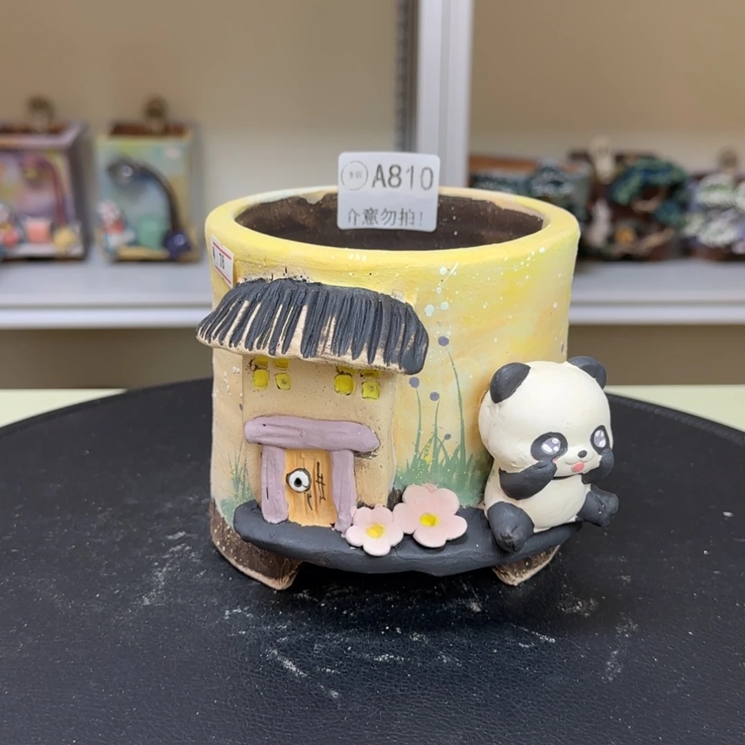 A810 【闪购】多肉花盆