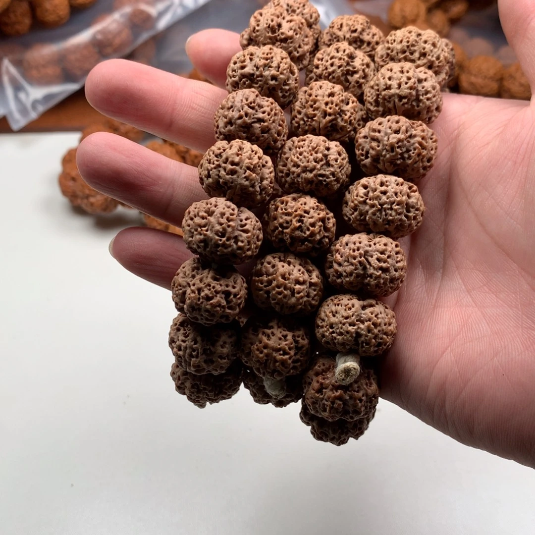 手串金刚菩提20左右终结者
