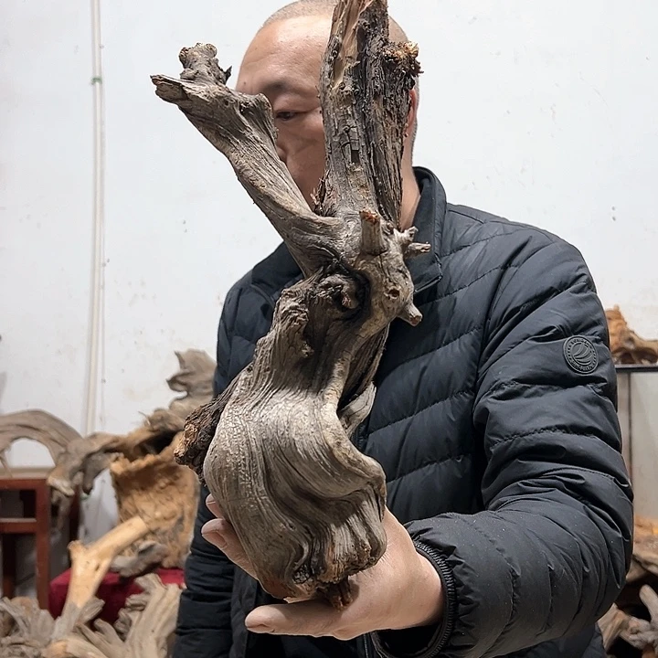 柏木苏*衣我们的生活也是如此的