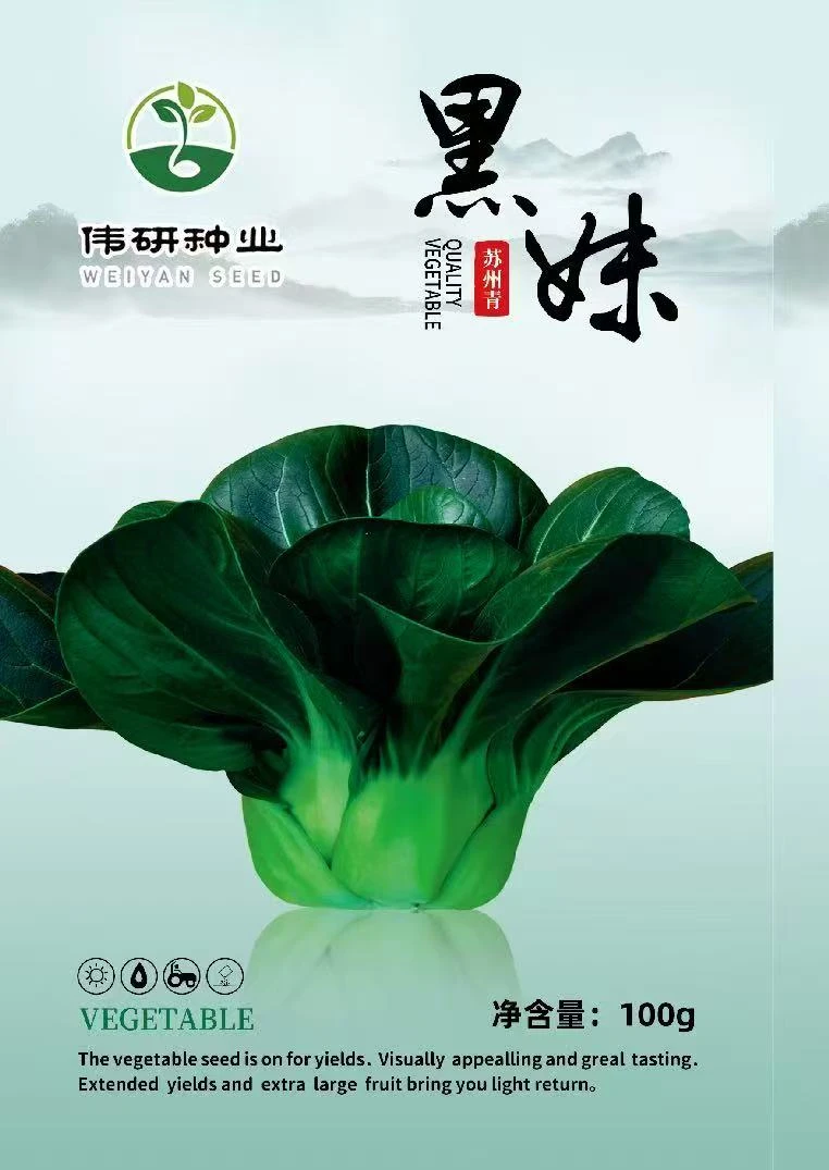 黑妹特矮苏州青100g现货农场主批发链接