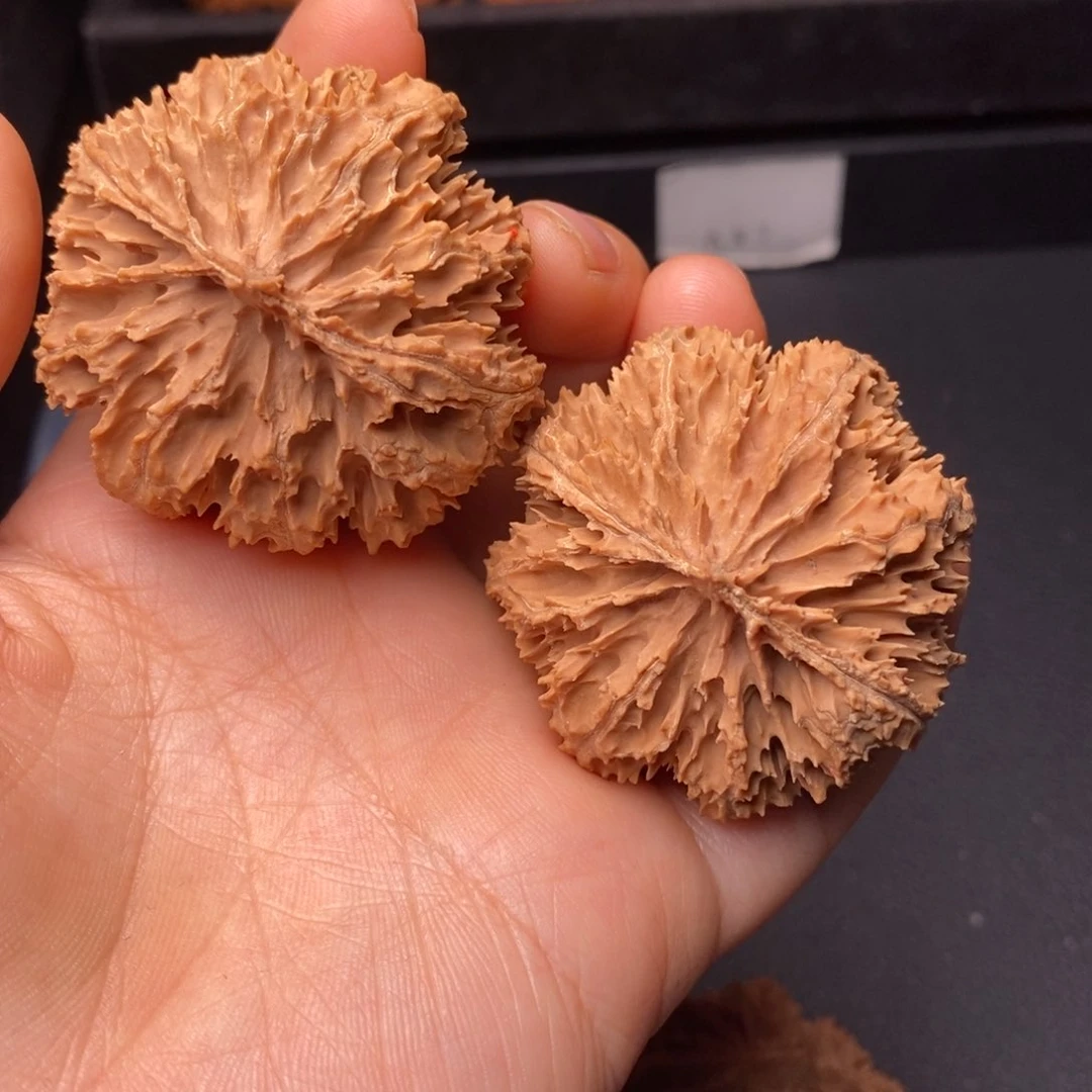 文玩核桃把件秦岭野生核桃