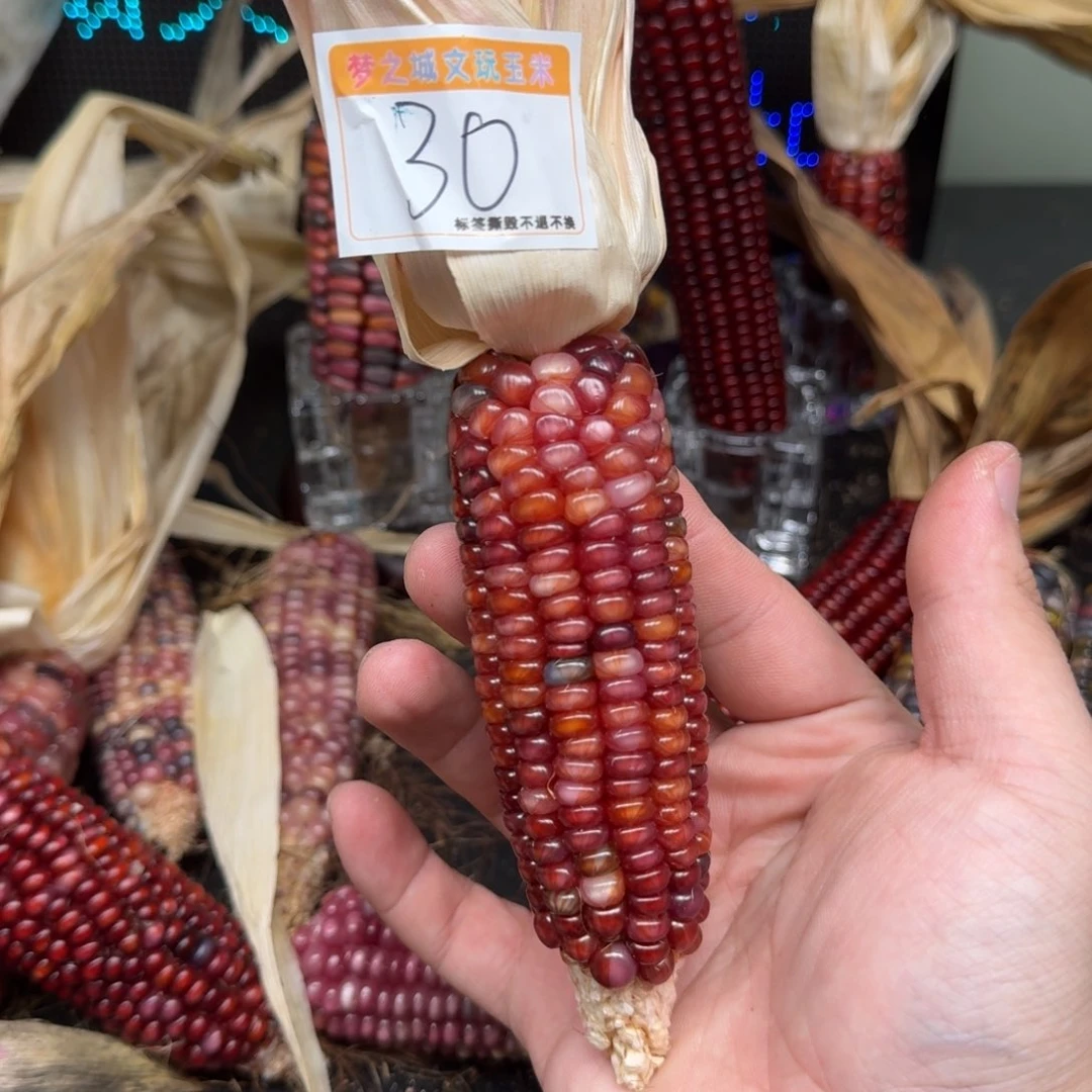 柏香籽/百香籽吊坠p*）