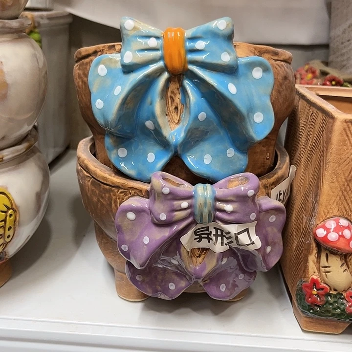 粗陶材质多肉花盆