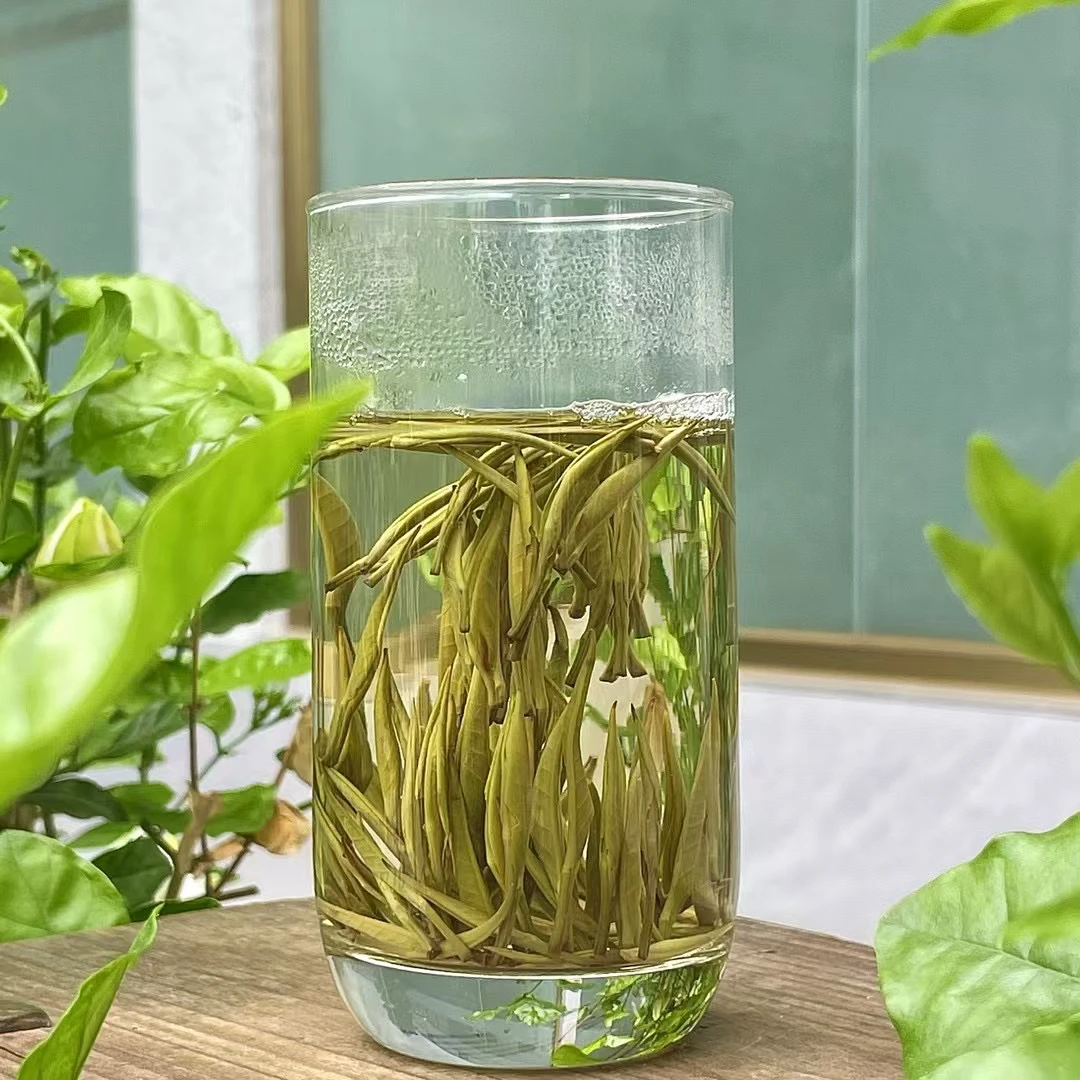 300不带花苿莉花茶