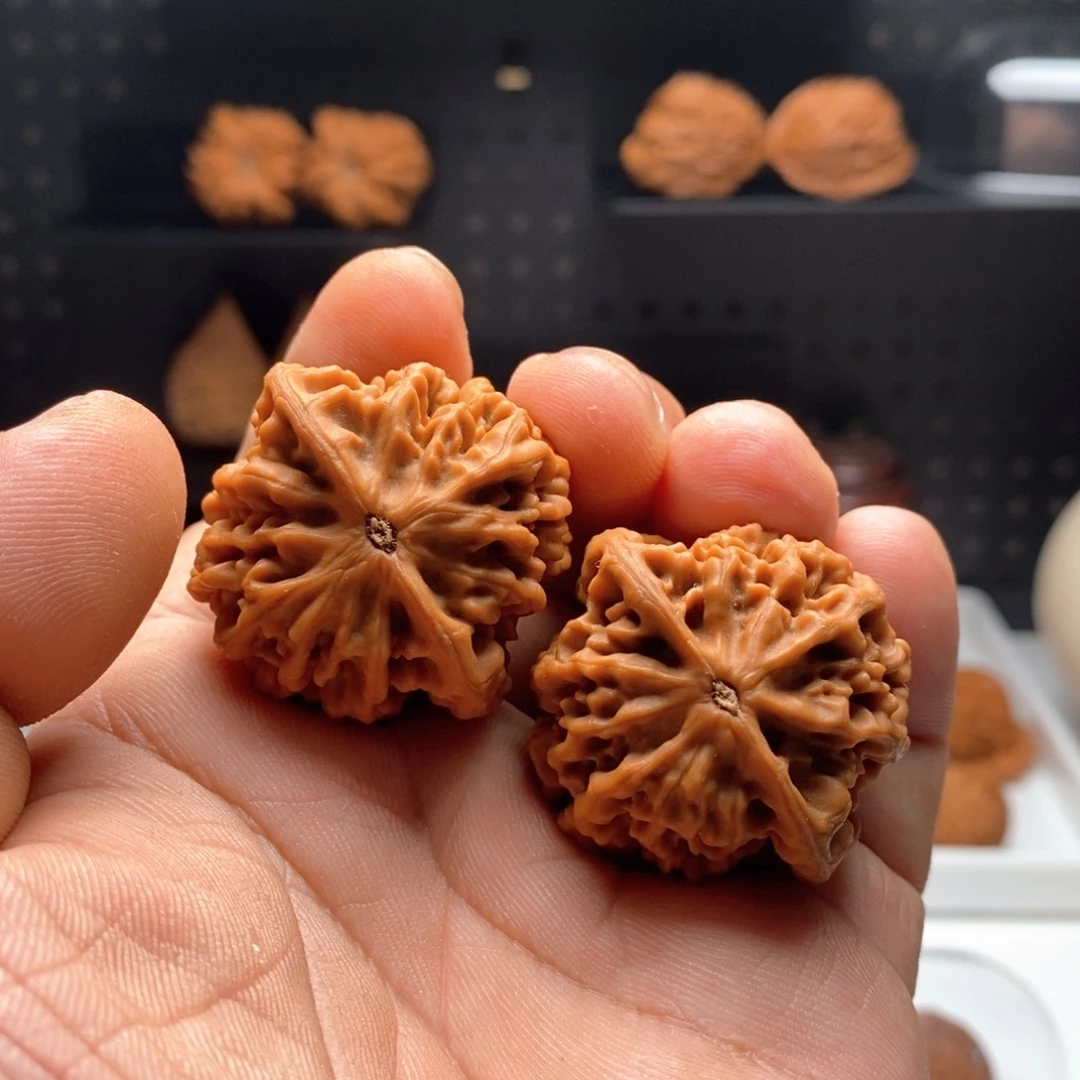 37全家福全品秦闷888888888