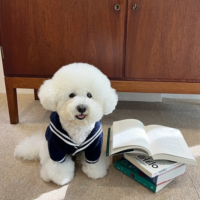 宠物衣服秋冬装泰迪比熊博美约克夏贵宾小型犬狗狗针织毛衣秋季