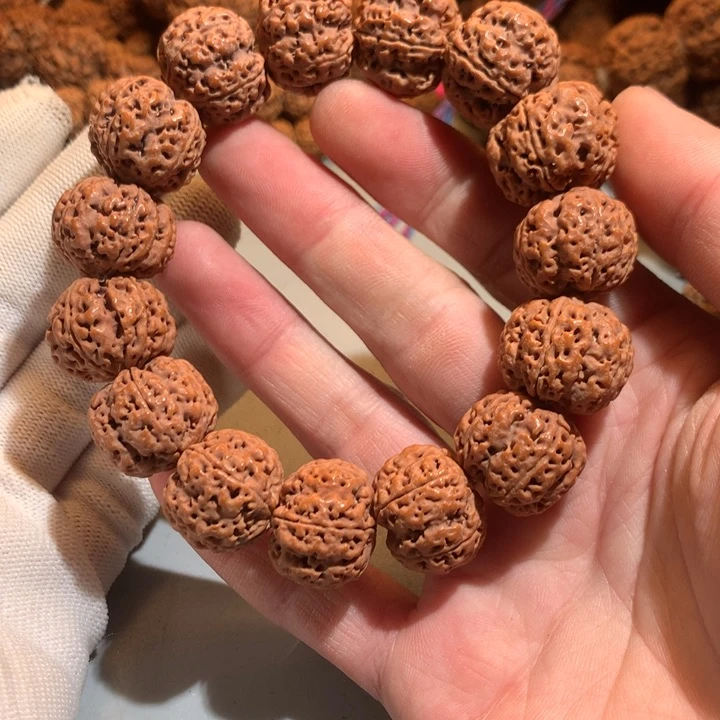 金刚菩提手串20尺寸五星蜂王