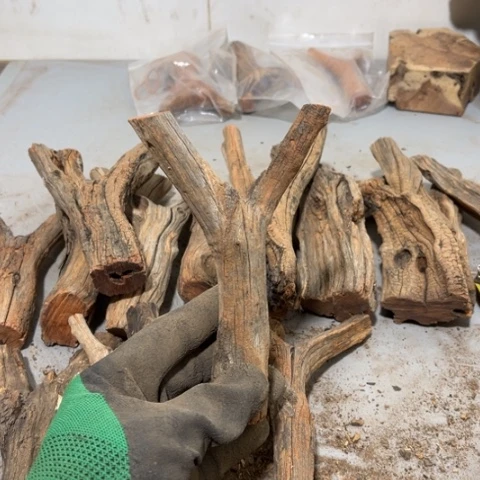 大果紫檀（缅甸花梨）超**g