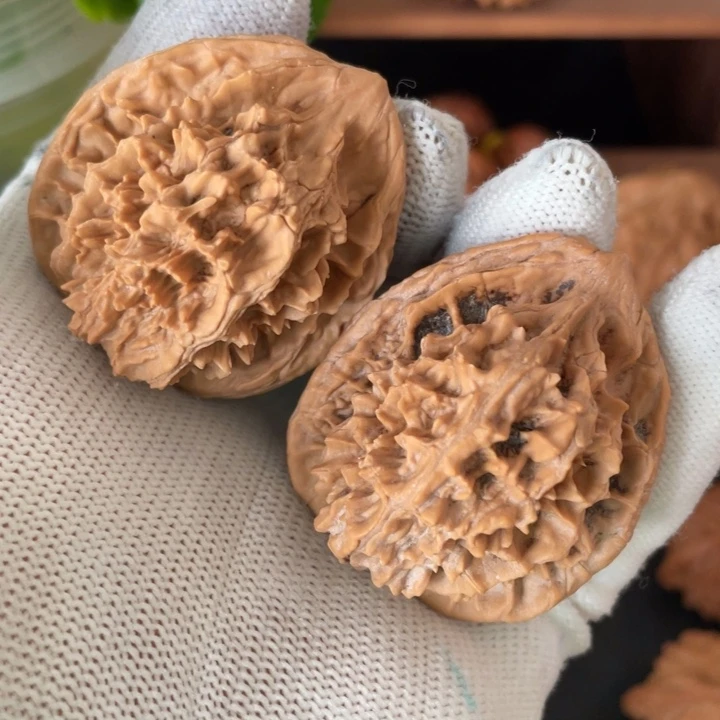 木秦岭核桃的野果