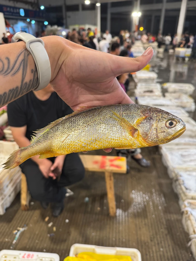 【小黄鱼4斤】东海野生海捕野生细鳞小黄鱼黄鱼子 顺丰冷链包邮