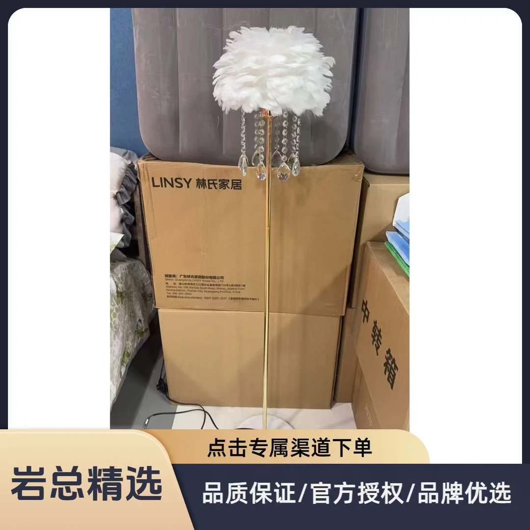 家用高级落地灯北欧家居轻奢客厅沙发卧室床头墙角