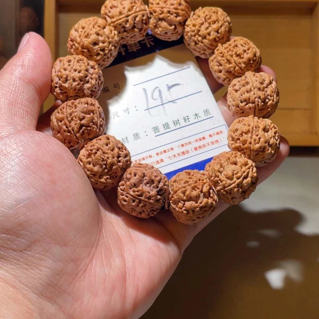 手串金刚菩提195号尺寸23满肉双龙