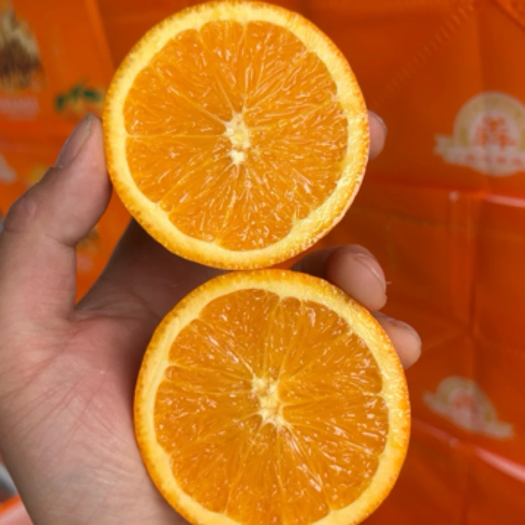 犇牛湖北秭归伦晚橙大果散装8斤净果优质农产品