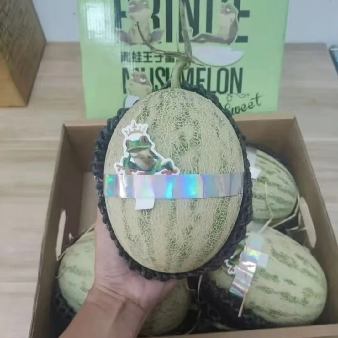 青蛙王子蜜瓜当季新鲜哈密瓜礼盒10斤装脆甜软糯多汁(顺丰包邮】