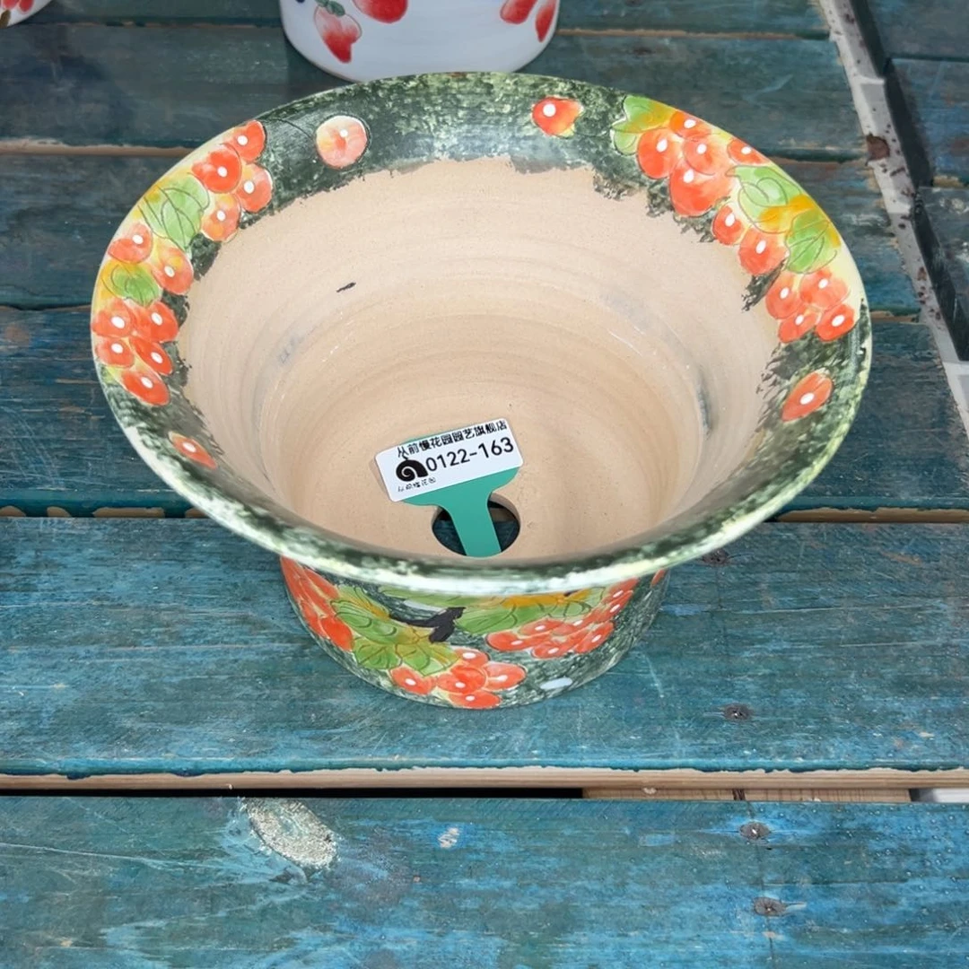 景**至多肉精选编号0122.163