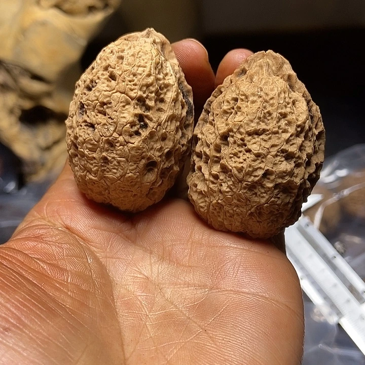 把件文玩核桃云南铁核桃基地89