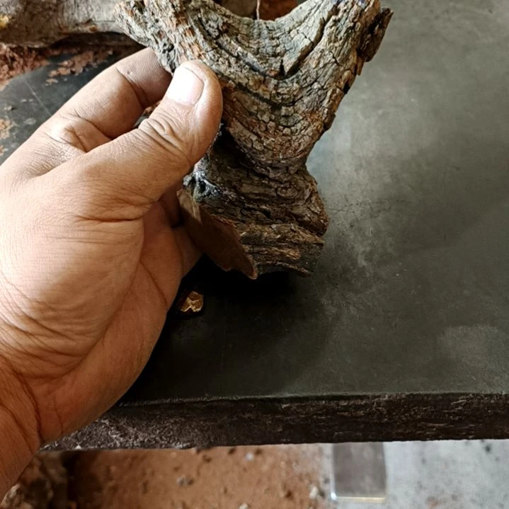 壶***人火琉璃原叉火琉璃