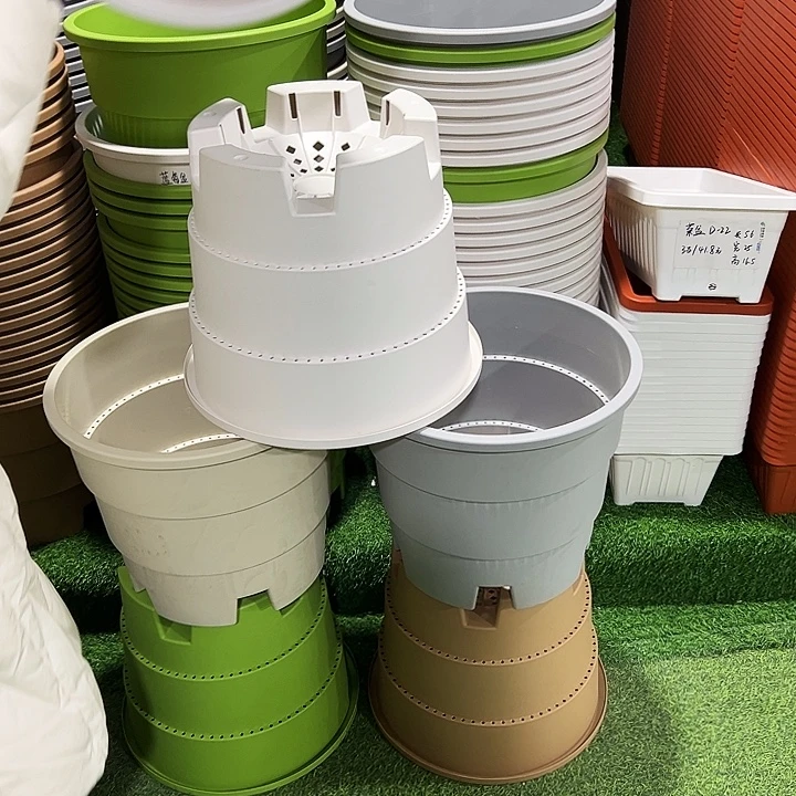 正品蓝莓盆口39高33白色无托3只