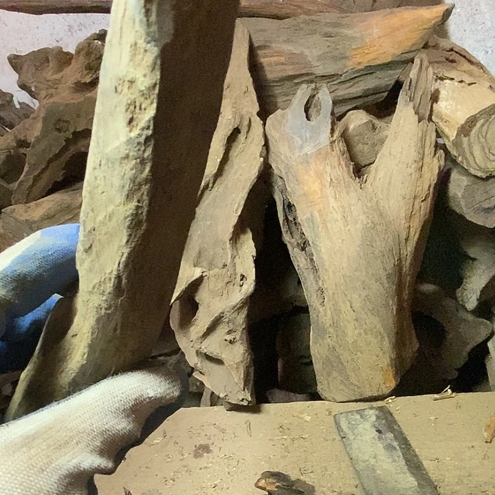 大***飞贡木手串我们的确是一