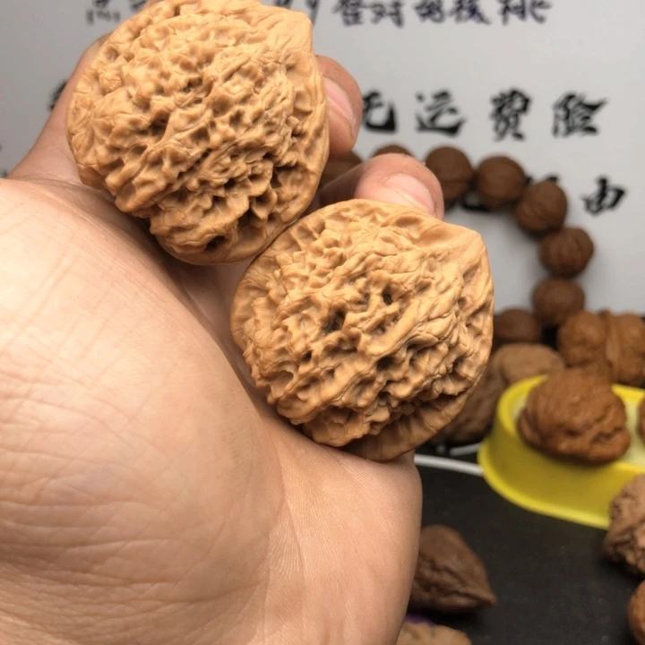 文玩核桃把件全品官帽带点小嗑尖