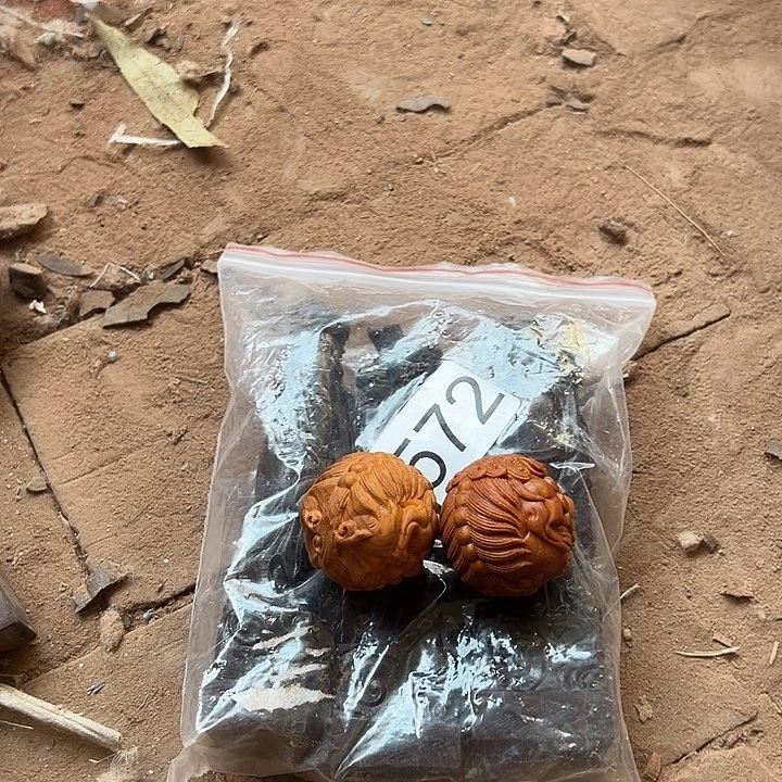 风车木（黑檀木）往****！888