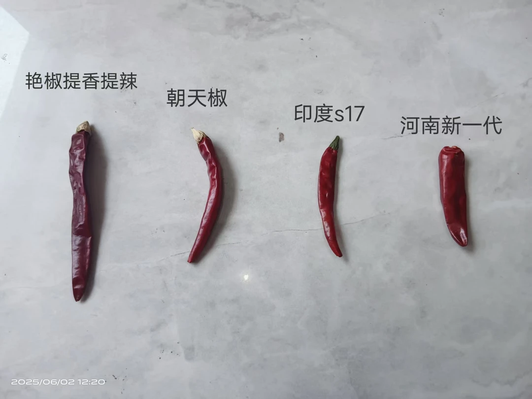 红油辣椒面四种辣椒调配特香特辣红辣椒油凉菜凉面红油辣子专用