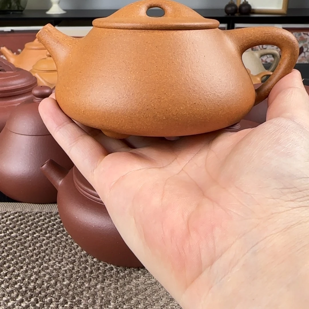 蔡***M茶壶紫砂微瑕景舟