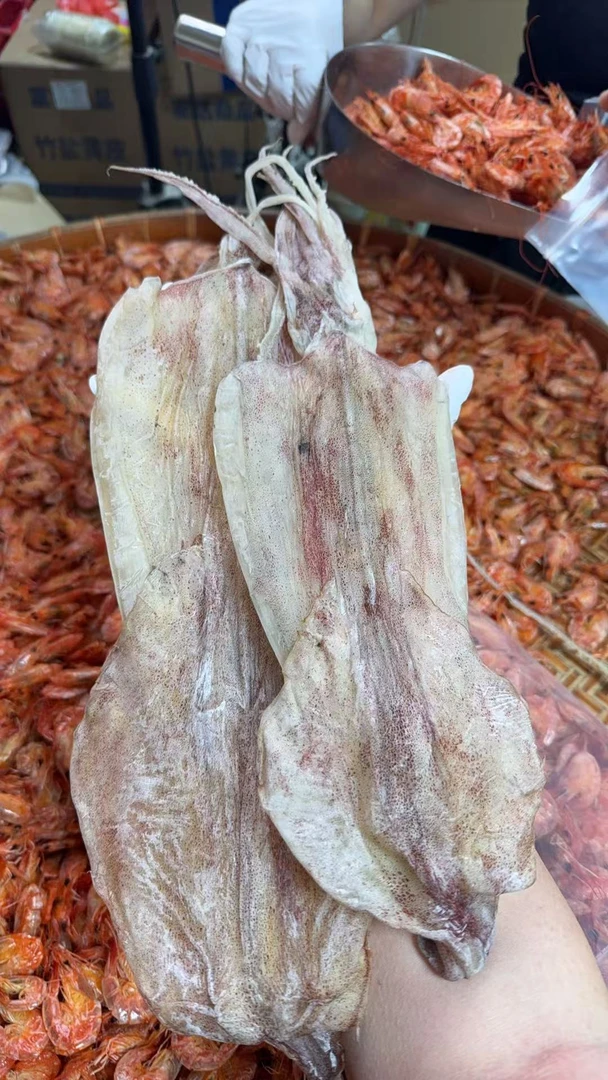 汕尾本港船10 头 4头 15头 鱿鱼 汕尾海味产品特产