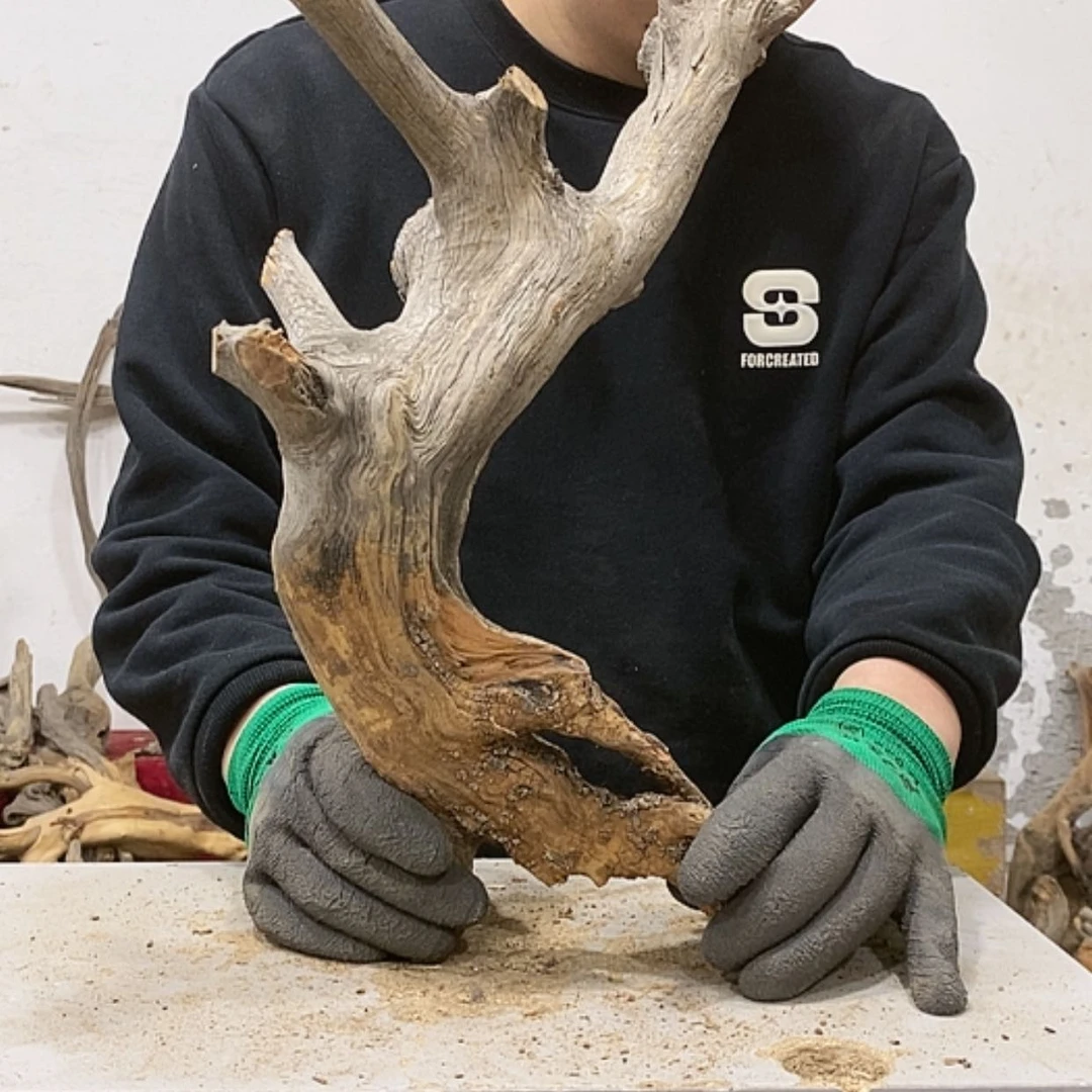 【闪购商品】柏木用****0我们都是好孩子