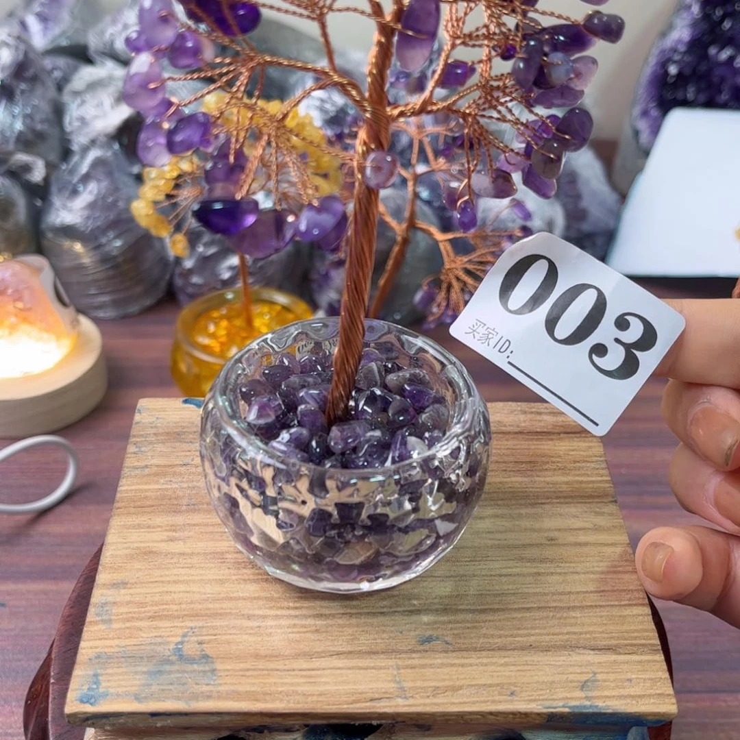 未镶嵌眼镜紫晶无底座