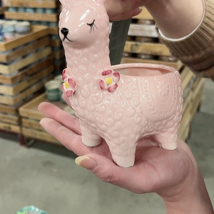 陶瓷陶瓷多肉植物花盆