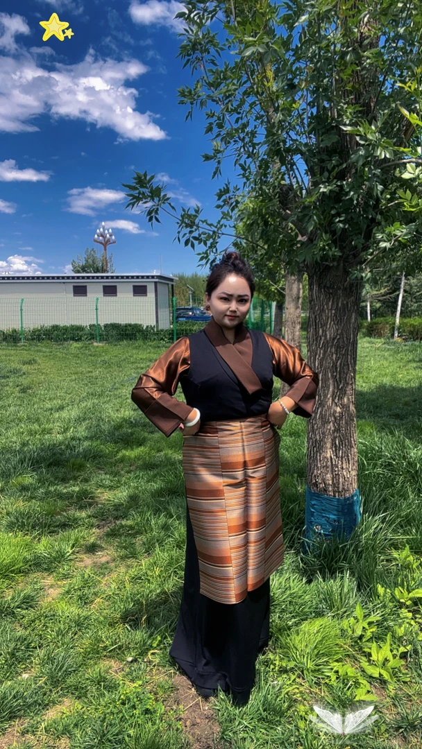 高档纯色衬衫搭配帮典组合（无藏装）