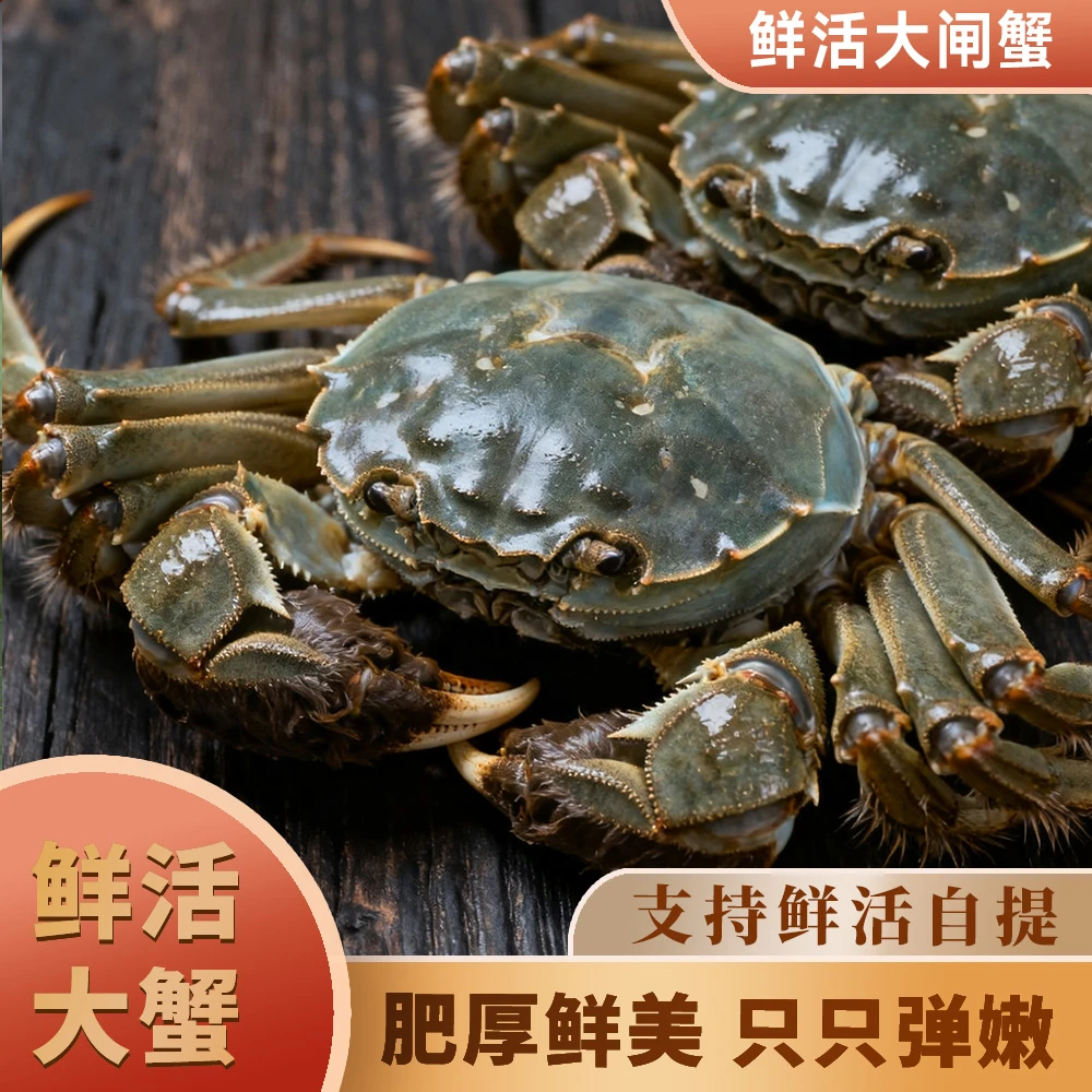 【金葉甄选】鲜活大闸蟹1.5两-2.5两 /只母蟹 98/10只