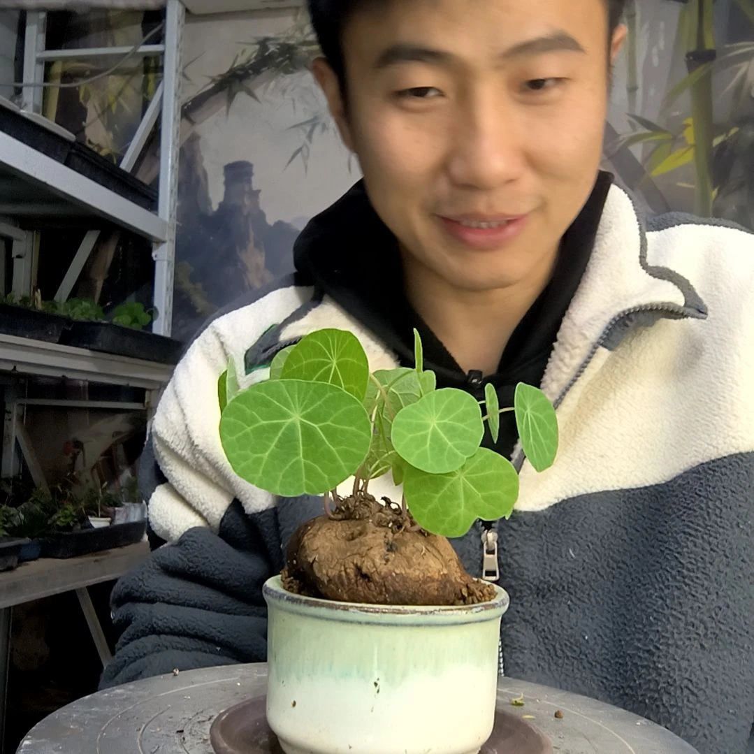 米*3中青园艺一物一拍203