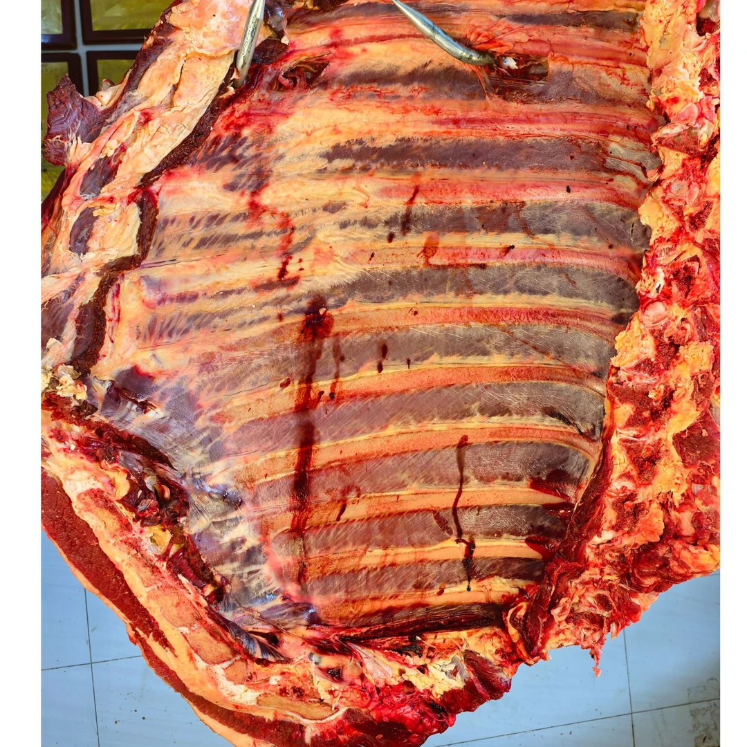 【精选牦牛排骨】4斤起拍高原牦牛排骨顺丰生鲜坏单包赔