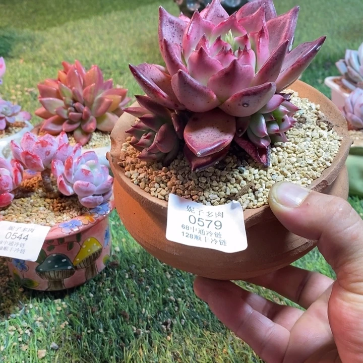 0579啊啊啊啊啊啊啊啊啊啊啊啊