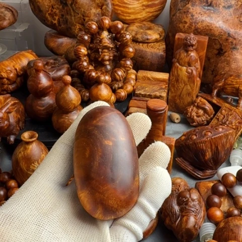 松木（琥珀木）其他