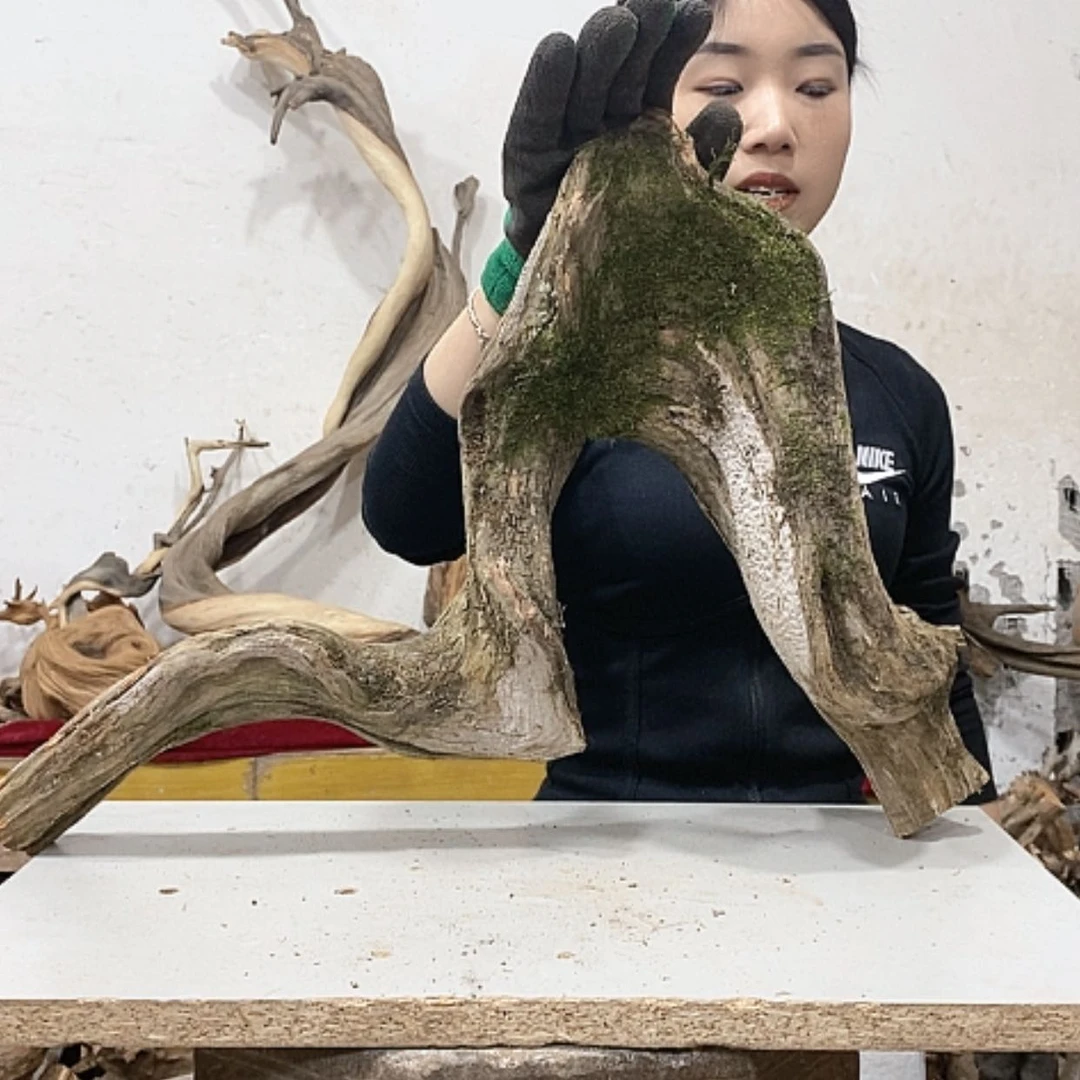 【闪购商品】柏木九****宝我们都是好孩子