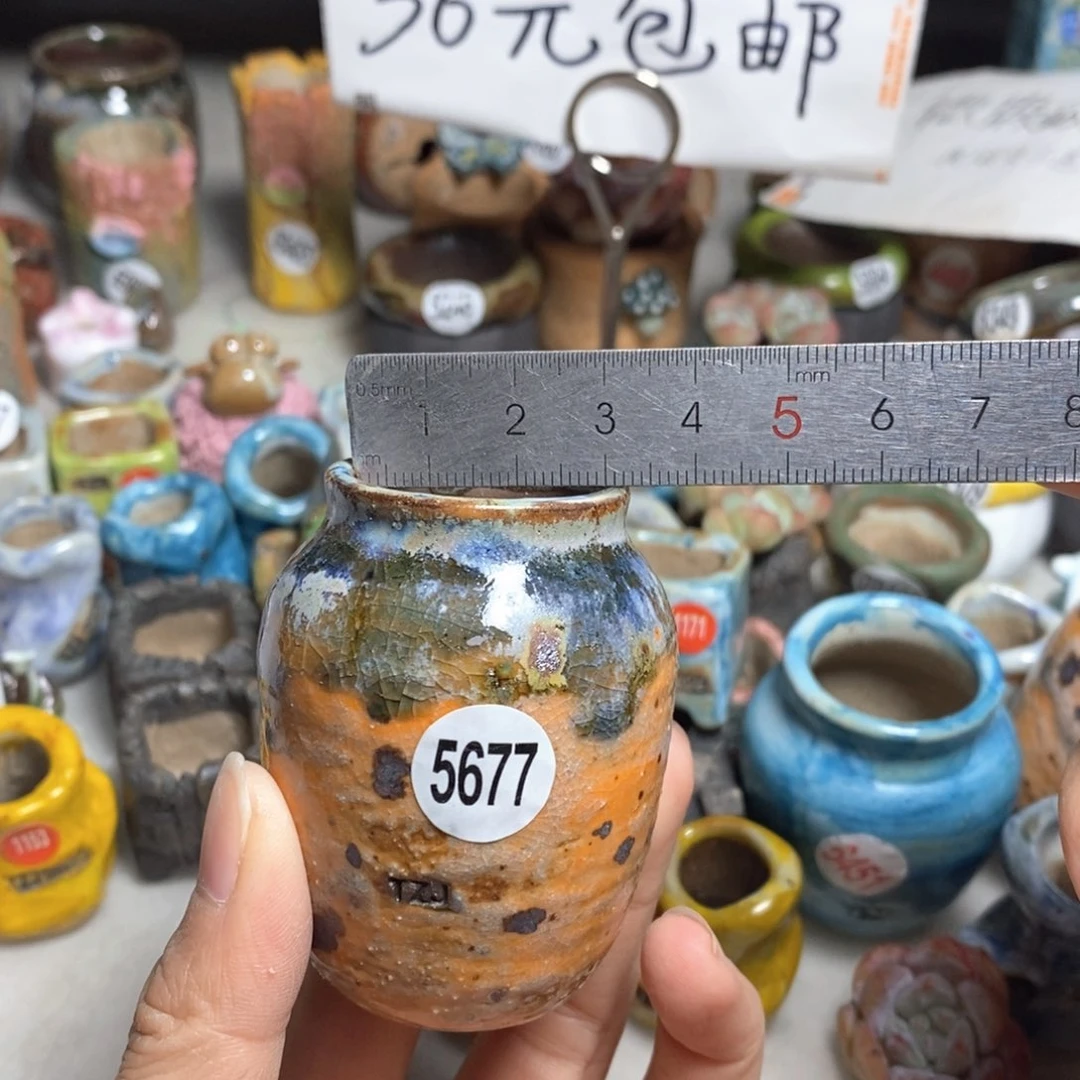 拍5送一个小礼物