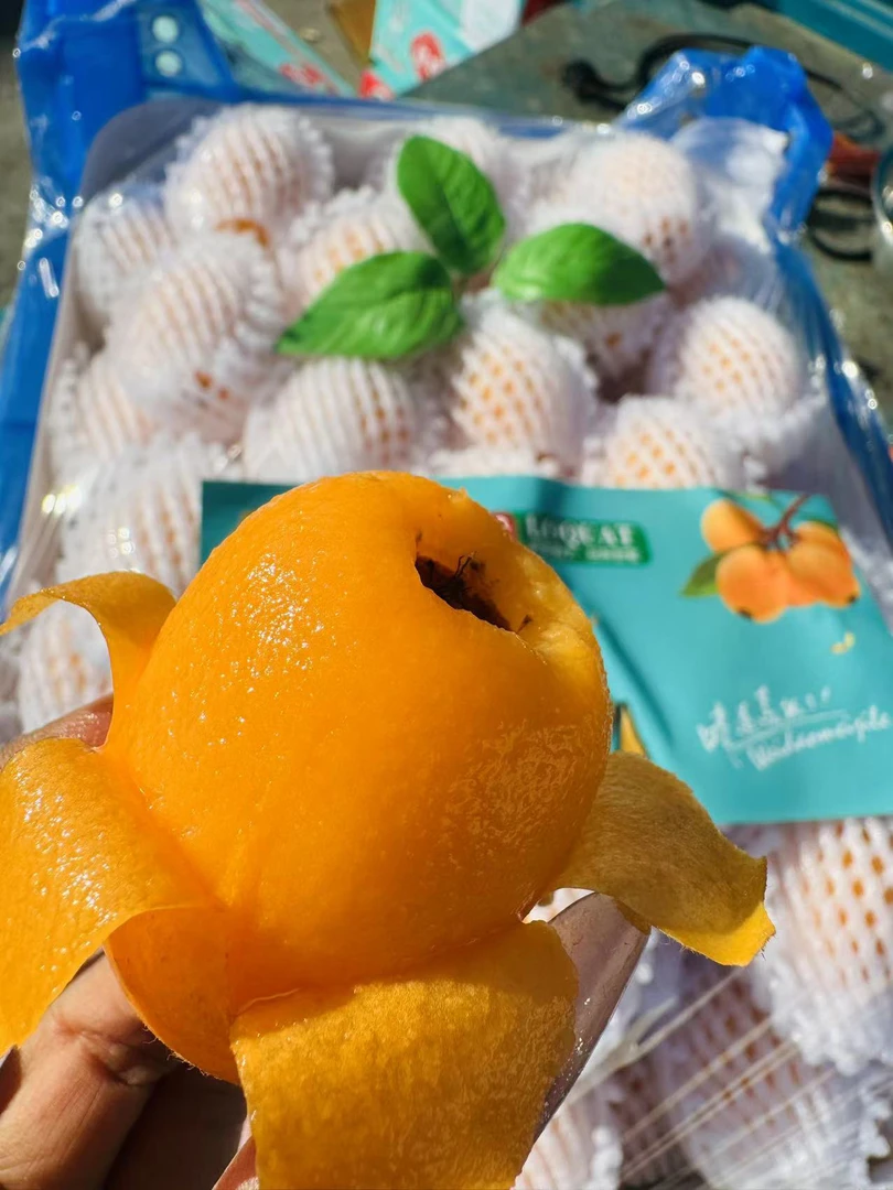 枇杷果果实大肉厚甜半斤装