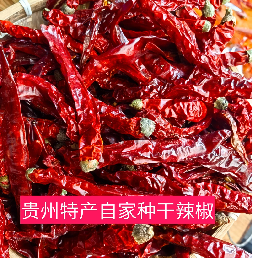 贵州黔东南黎平从榕高山本地干辣椒